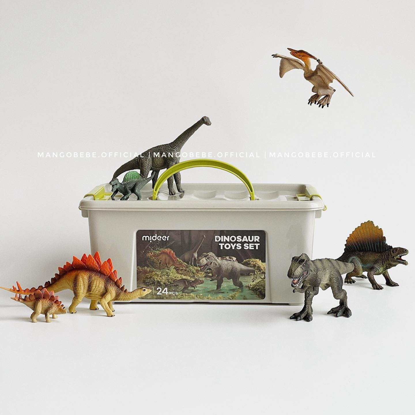 Hộp 24 mô hình khủng long